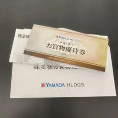 ヤマダ電機　お買い物優待券　¥500 x10枚