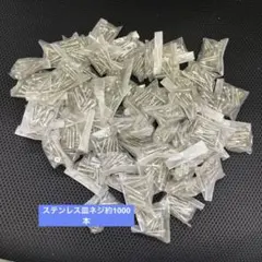 작은 가방에 담긴 대형 스테인리스 스틸 납작한 나사 세트, 약 1,000개