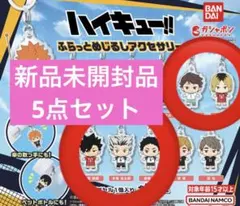 新品未開封品 ハイキュー!! ふらっとめじるしアクセサリー 5個セット