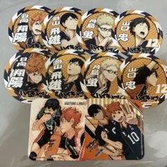 ハイキュー　コースター