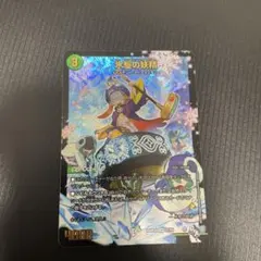 氷駆の妖精　カーリング・フェアリー　美品　アドレナリンパック