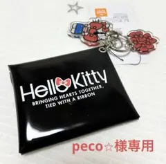 【peco⭐︎様専用】HELLO KITTY クリアポーチチャーム　108059