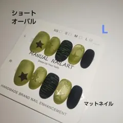 (まとめ買い歓迎＊)ネイルチップ L