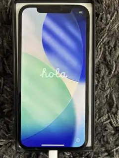 iPhone11 ProMax 256GB シャッタ音無 デュアルSIM 海外版 - メルカリ