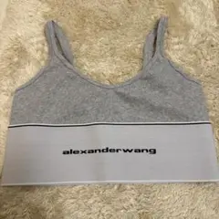 alexander wang