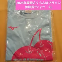 Item thumbnail for item 7369c2aa-063d-4681-8757-31c308c5ac35