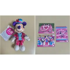 ミニーのファンダーランド ぬいぐるみバッジ コレクションカード