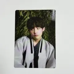 BTS ダルマジュン　2022 ミニフォト　V