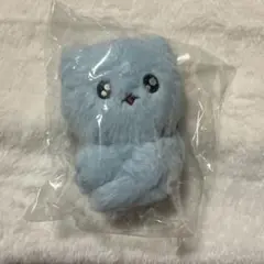 チェゴシム メッセージ付きハグマスコット 水色クマ