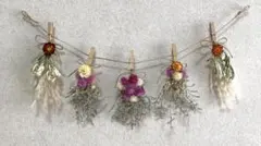 ドライフラワーガーランド ミニスワッグ 壁飾り No.10