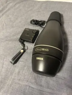 Item thumbnail for item 3c6c369d-fd82-4449-b160-ae6eca8c324b