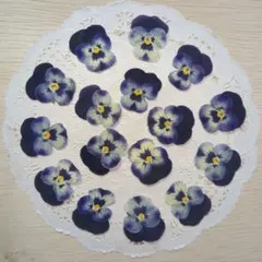 押し花素材 押し花