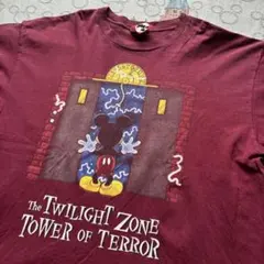 入手困難】ディズニー タワーオブテラー Tシャツ ヴィンテージ 海外 