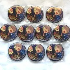 大神晃牙 中国限定 星之所向 缶バッジ 10点セット