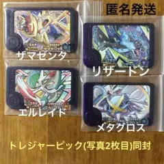 ザマゼンタ ／ リザードン ／ エルレイド ／ メタグロス