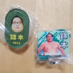 Item thumbnail for item 39f2a8d2-ce93-43b6-a629-d60fadb7a835