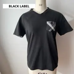 【お値下げ】BLACKLABEL ブラックレーベル Vネック Tシャツ Lサイズ