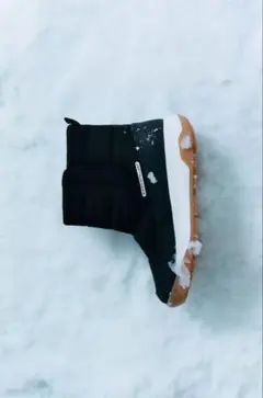 Item thumbnail for item 407f41c3-f801-4b54-a72d-03fcd0529396