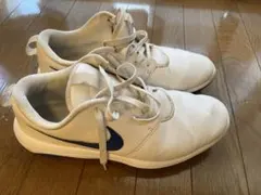 Item thumbnail for item 8b2a2cc4-8972-42a6-822d-d7f3f92e8262