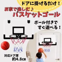 LIFETIME バスケットゴール 6段階高さ調節可能 中古品 ※現地引取限定