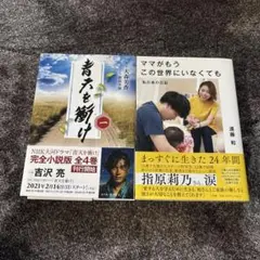 Item thumbnail for item 2777e46d-68ce-4595-8d99-07e3670757ce