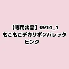 【専用出品】