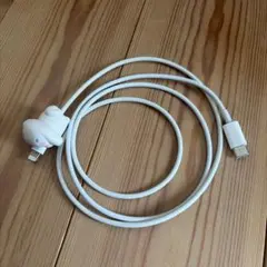 iPhone Lightningケーブル USB-C Apple純正 シナモン付