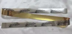 めておら Meteorites 銀テープ 銀テ 武道館 FIRST IMPACT