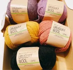 URUGUAY WOOL 毛糸 5色セット合太