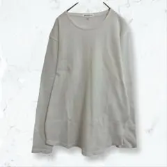 s115 ザショップティーケー 長袖カットソー 白 L メンズ ワッフル 春秋