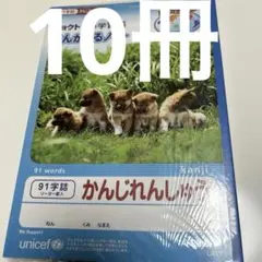 キョクトウ かんがえるノート 91字詰 学習帳