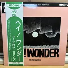 2026年最新】ザ クロマニヨンズ レコードの人気アイテム - メルカリ