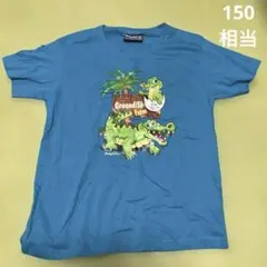 Bobby OZ Tシャツ 150相当 クロコダイル柄 オーストラリア お土産