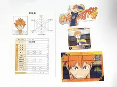 ハイキュー!! 日向翔陽 カード・ステッカー・ブロマイド セット