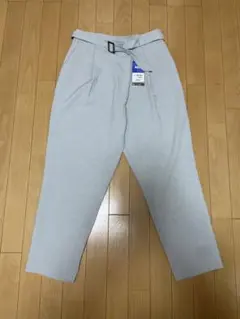 Item thumbnail for item ca61b2a1-2839-4941-846c-ffe6636a1610