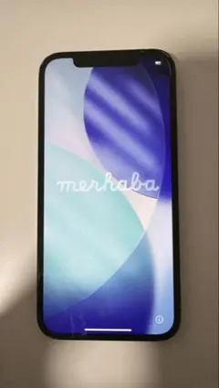 【格安】iPhone 12 Pro パシフィックブルー 背面ひび割れあり