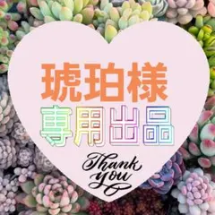 琥珀様 リクエスト 3点 まとめ商品