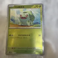 2026年最新】ポケカ151フシギダネの人気アイテム - メルカリ