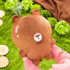 ちいかわだらけくじ。救出！着脱ぬいぐるみ（チョコ）B賞 - メルカリ