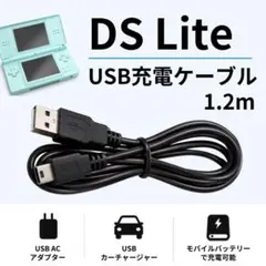 DSライト USBケーブル 充電器 DSL NDS DS Lite 新品