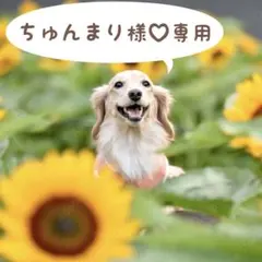 ちゅんまり様♡専用