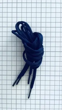 익명 배송 NIKE 순정 슈 레이스 네이비