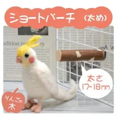 Item thumbnail for item ad212bc4-d40f-4ad4-9e83-29ea442cffcd