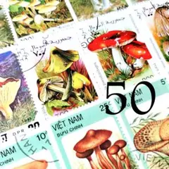 海外切手　きのこ　50種50枚　キノコ切手　可愛い切手　ジャンクジャーナル素材