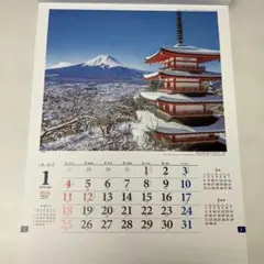 snow_bear様 SG289 TD800リクエスト 2点 まとめ商品