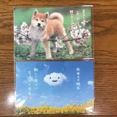 Item thumbnail for item 7a10618a-2d06-46d4-93f3-99591ce74622