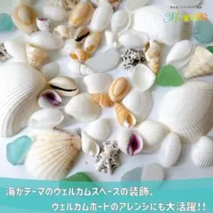 爽やか海素材セット　50個　シーグラス　貝殻　工作　ハンドメイド　海　結婚式