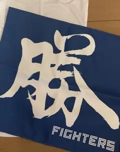 VICTORY スイング勝タオル　青