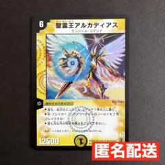 デュエル・マスターズ】世界5枚！精霊王アルカディアス_英語版_PSA10