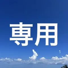 ichigo125様 リクエスト 3点 まとめ商品